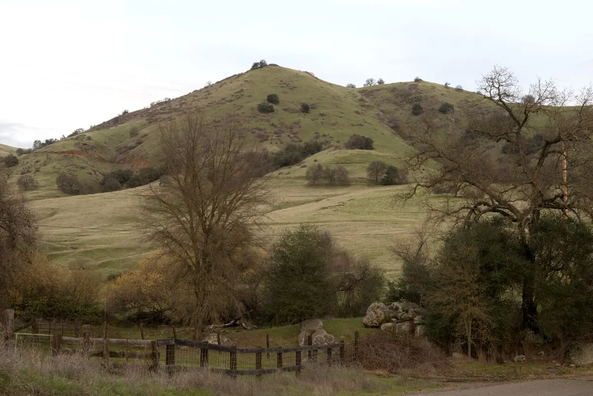 An oak covered hillside above the American River near Coloma