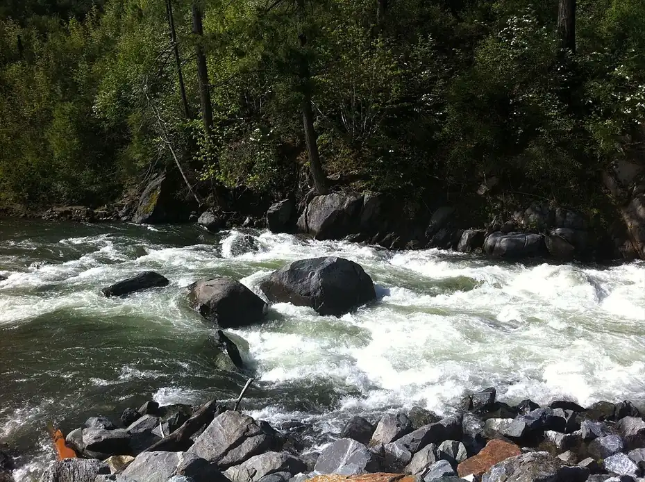 The American River running through forest near Pollock Pines