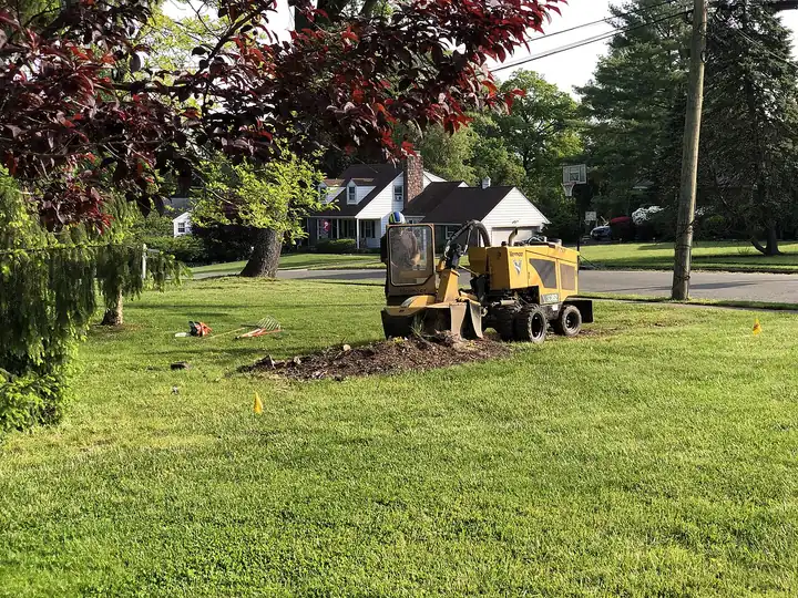 A stump grinder machine grinding a tree stump down into the ground